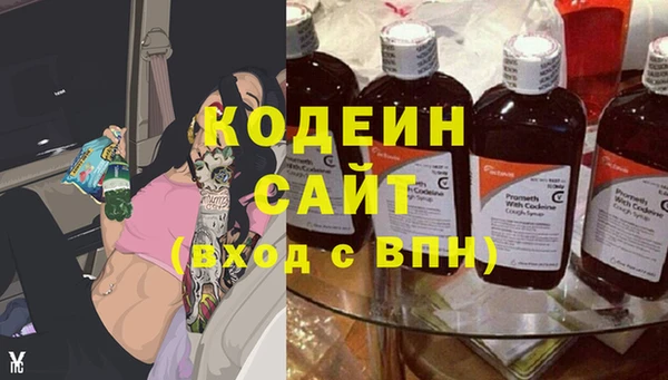 эйфоретик Вяземский
