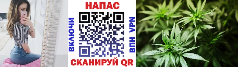 Бошки Шишки SATIVA & INDICA  Островной 